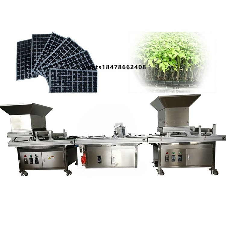 Nursery - Machines de pépinière de légumes en