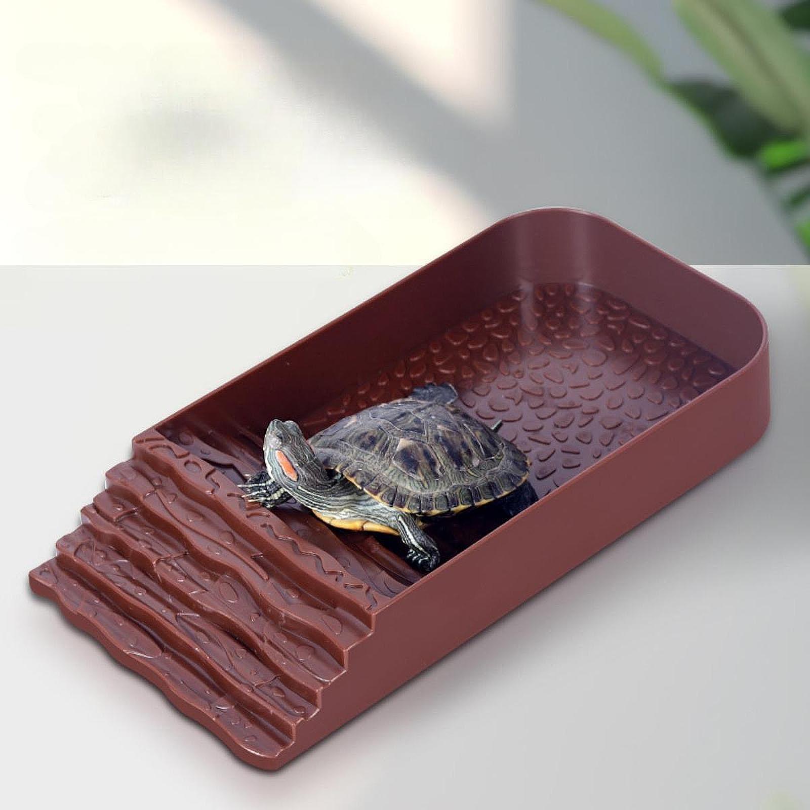 Feeding - Grand bol d'eau pour tortues, bol